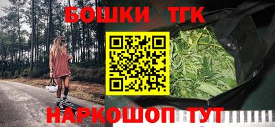 индика Гусь-Хрустальный