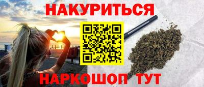 индика Гусь-Хрустальный