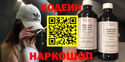 индика Гусь-Хрустальный